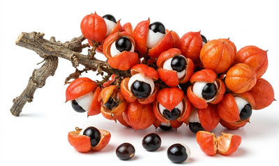 Guarana